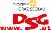 DSG